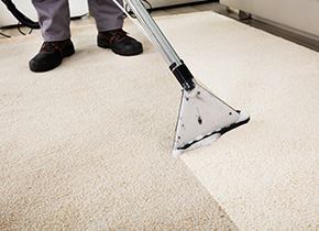 Carpet Cleaning