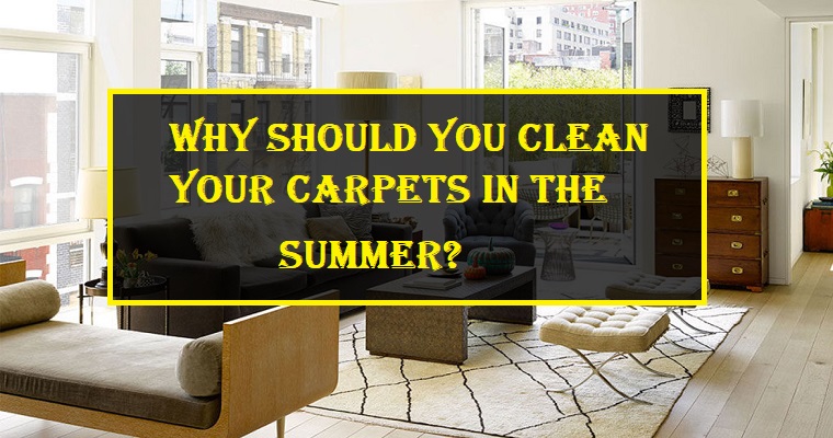 Why Should You Clean Your Carpets in the summer?